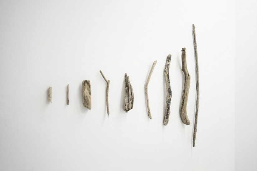 Sorting | instalation | branches | 135 x 115 cm