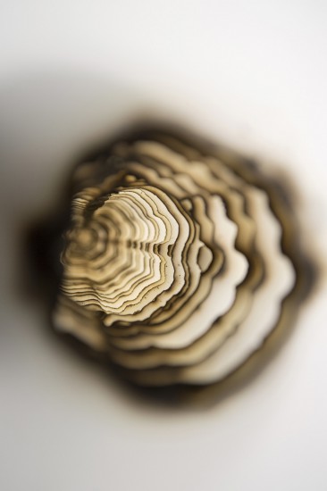 Shot Sequence | leporello paper (detail) | 18 x 11,5 cm