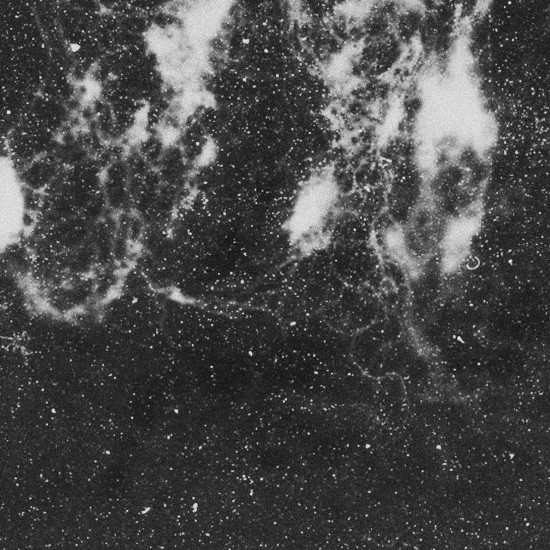 Scale (dust) | pigment print on paper | 105x105 cm