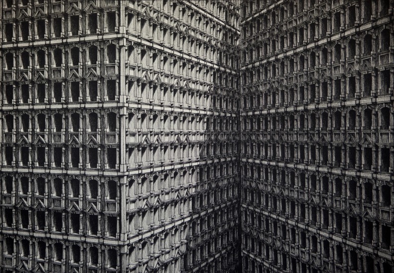Habitable Structure | intaglio, 70x100 cm