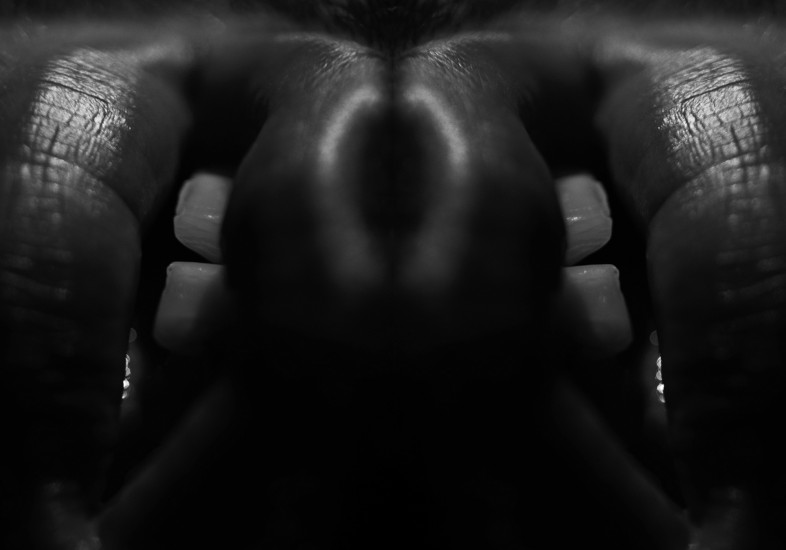 Flavor 5 | photography