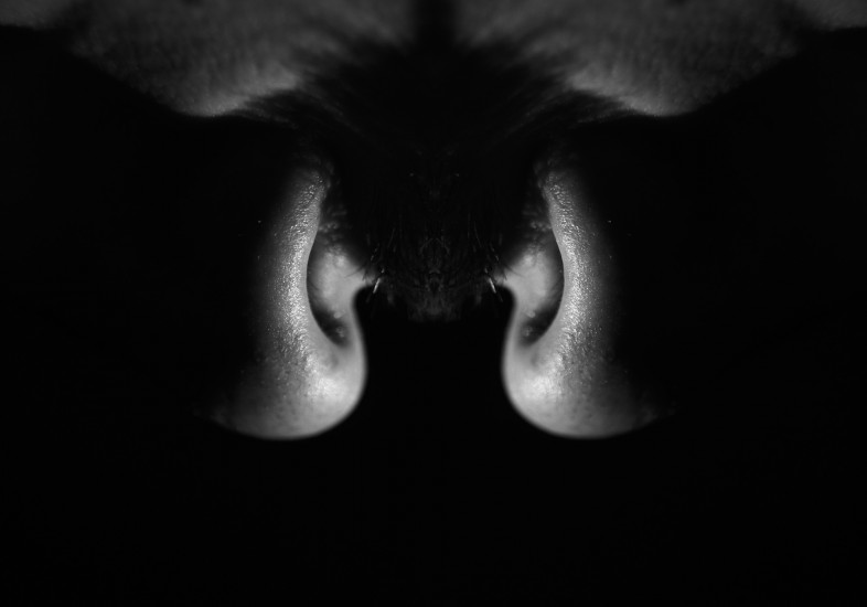 Smell 4 | photography