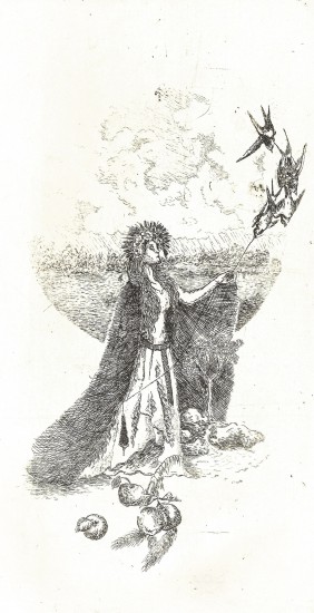 Goddess Mokosz | etching |25x13 cm