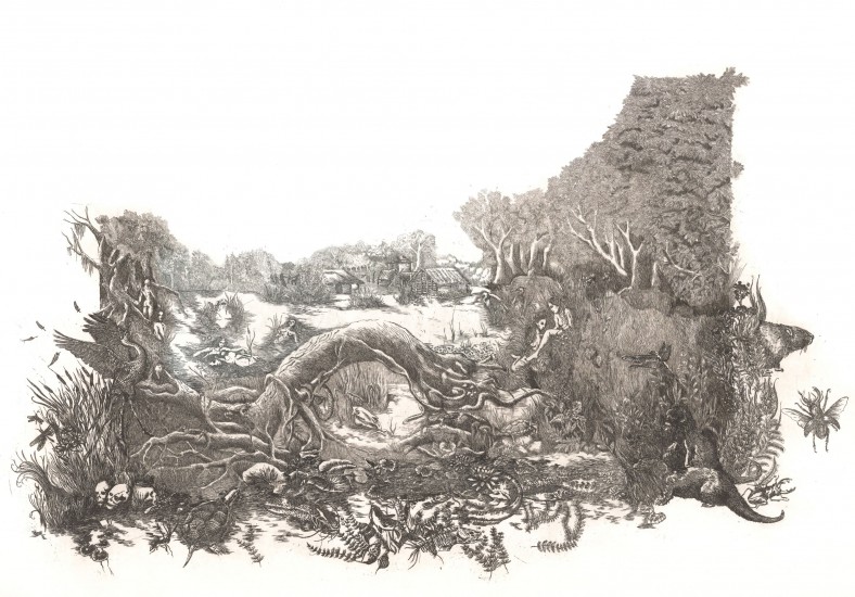 Wolin Sanctuary | etching |100x70 cm