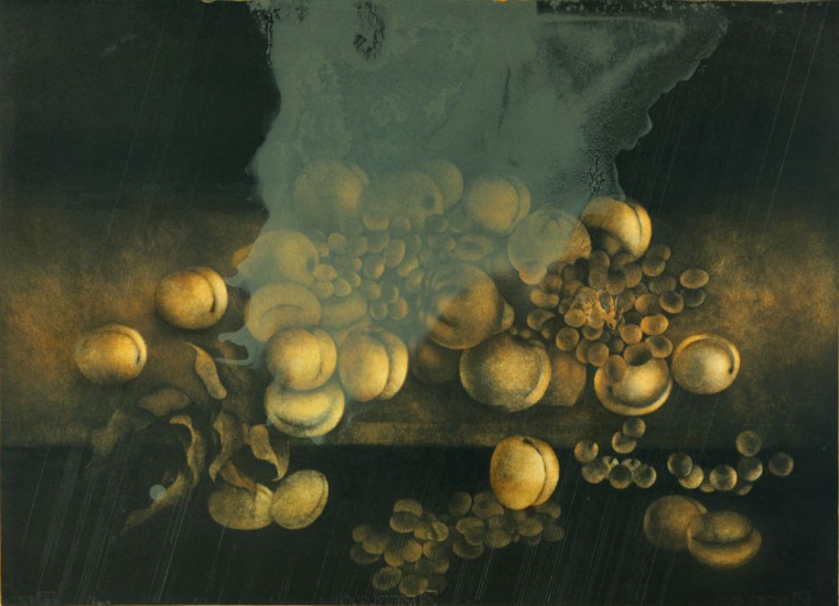Still Life | lithography | 57×76 cm | 2008