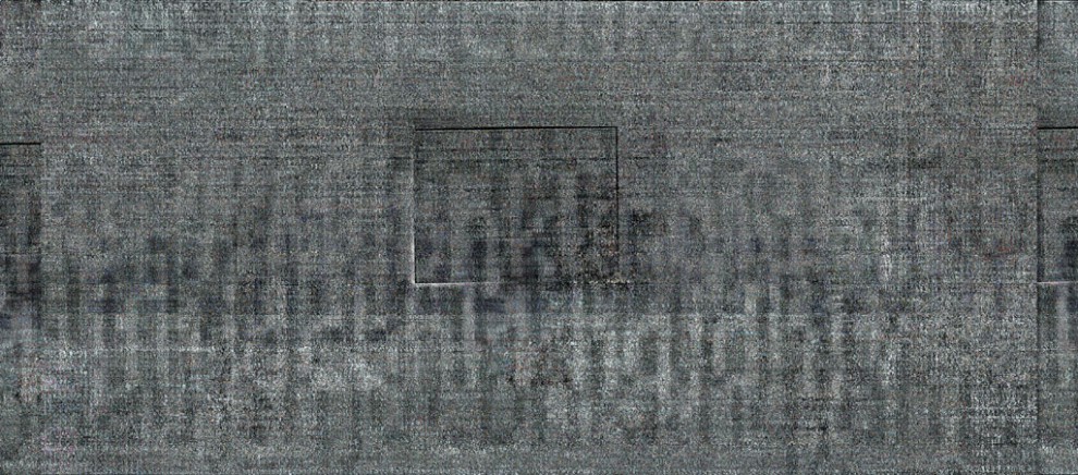 Cloning 28 | serigraphy | 210×100 cm