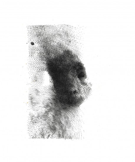 Sheep I | litography | 32x22cm | 2016