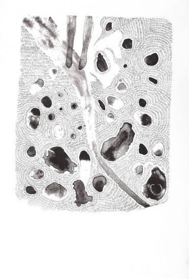 Dancing stones | litography | 70x48,5cm | 2016