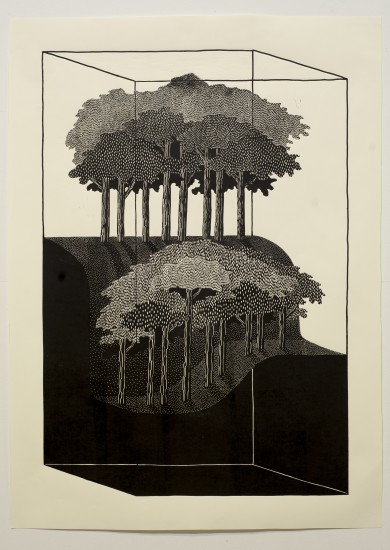 From the cycle: Capsules | linocut | 55x80cm