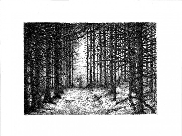 Z cyklu: Dziwny sen | akwaforta | 42x29,7cm