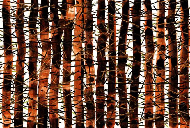 Las czerwony | digital print | 150x220cm