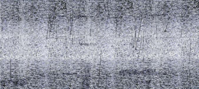 Staw | digital print | 150x330cm